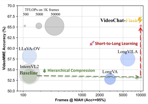 VideoChat-Flash